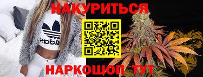 шишки Абинск