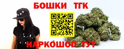 прущие грибы Абакан