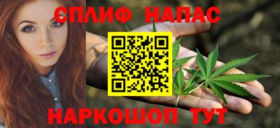 прущие грибы Абакан