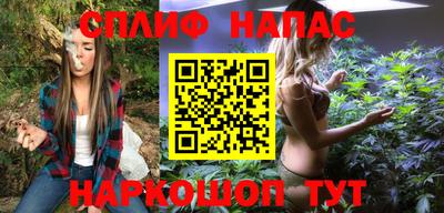 прущие грибы Абакан