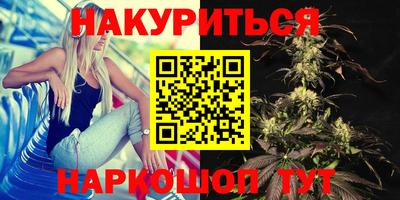 прущие грибы Абакан