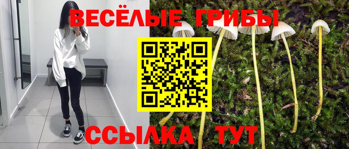 Галлюциногенные грибы прущие грибы Ачхой-Мартан