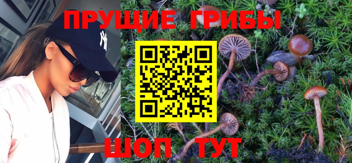 Галлюциногенные грибы Psilocybine cubensis  Вход с VPN  Галлюциногенные грибы ЛСД  наркотики  Ачхой-Мартан 